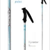 Dynastar: Womens Ski Poles - Dynastar Exclusive (only 115cm Now)